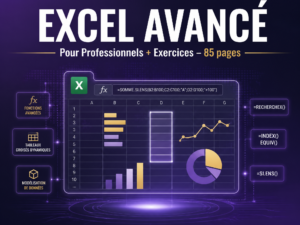 Excel Avancé pour Professionnels