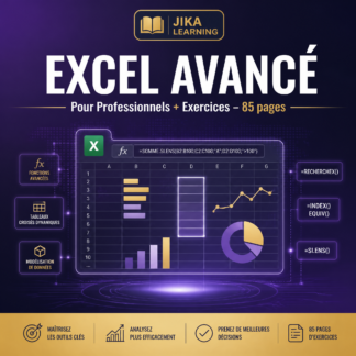 Excel Avancé pour Professionnels (PDF + Exercices)